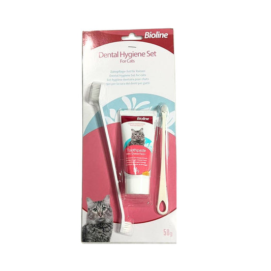 Kit Dental Para Gatos