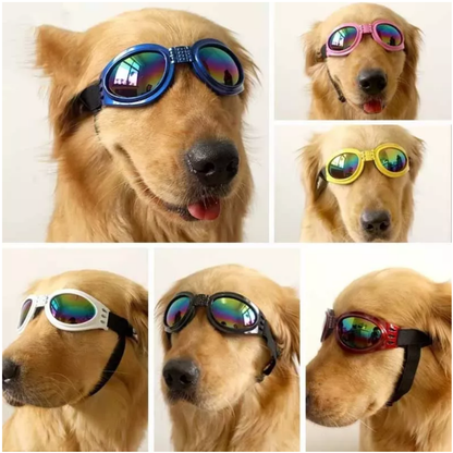 Lentes de Sol Uv Para Perro de tamaño mediano a grandes